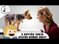 A kutyád tudja milyen ember vagy! - Van egy perced?