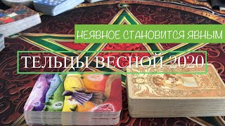 ТЕЛЬЦЫ ВЕСНОЙ - ВРЕМЯ ОТКРЫТИЙ СЕБЯ ДЛЯ СЕБЯ