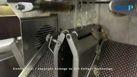 Softgel Animal & Veggie production training & know-how teaching on all softgel machine in the world