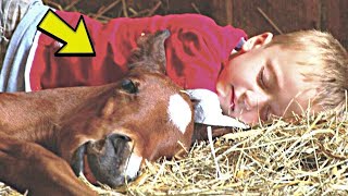 Boy Sleeps with Foal Every Night, 3 Years Later Mother Realizes she Made a Big Mistake by HappyWorld 569 views 3 weeks ago 9 minutes, 49 seconds
