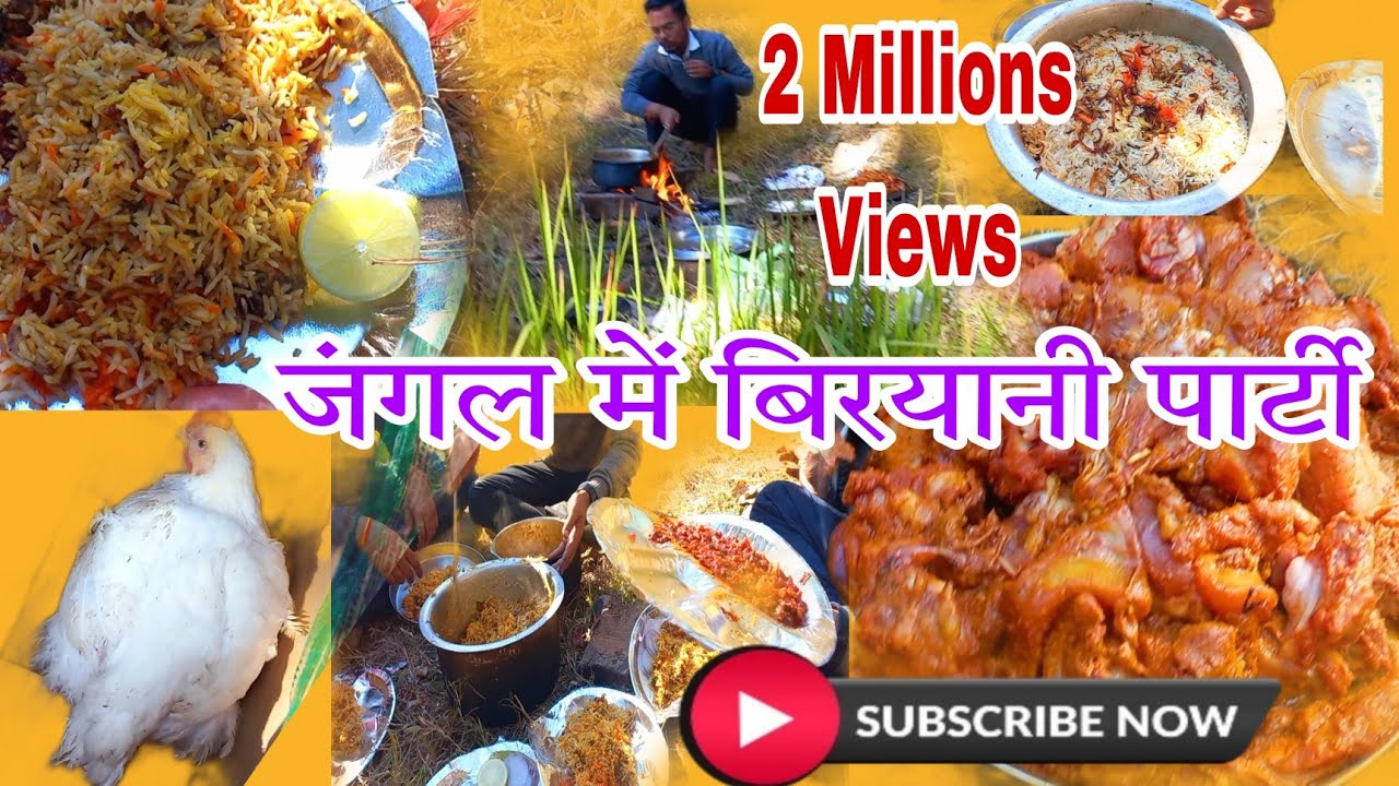 Jungle Mein Party || Chickan Biryani || Biryani party || Chicken Biryani Recipe || Chickan Party