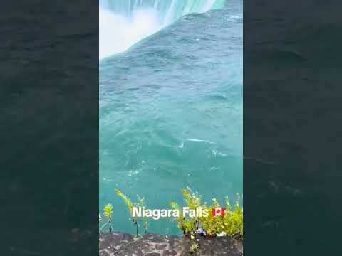 Video: Niagara na jezeru v Kanadi