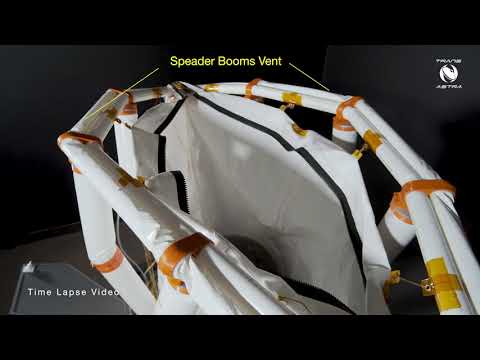 Mini Bee Capture Bag Test