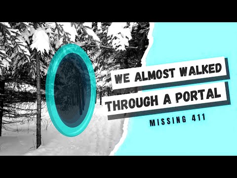 Missing 411 | Personal Story | Could It Be Portals?