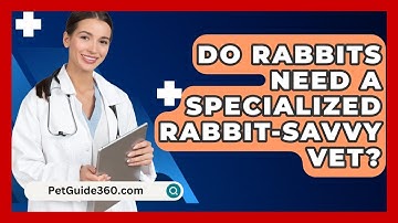 Do Rabbits Need A Specialized Rabbit-savvy Vet? - PetGuide360.com
