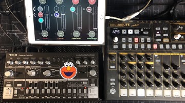 BEHRINGER TD-3 - Full Tutorial & Walkthrough - Everything You Need To Know