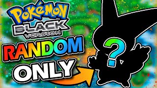 Pokémon Black Randomizer Nuzlocke