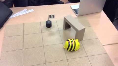 Bee-bot en action