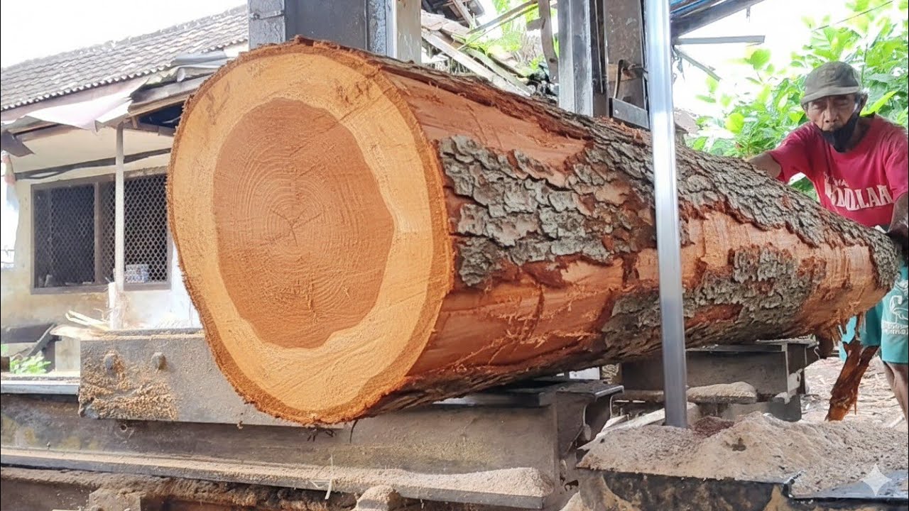 Exotic Colors, Perfect Fibers 