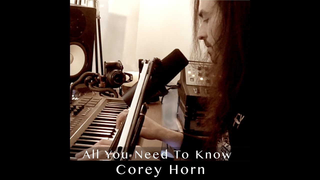 All You Need To Know - Gryffin & Slander | Corey Horn Cover