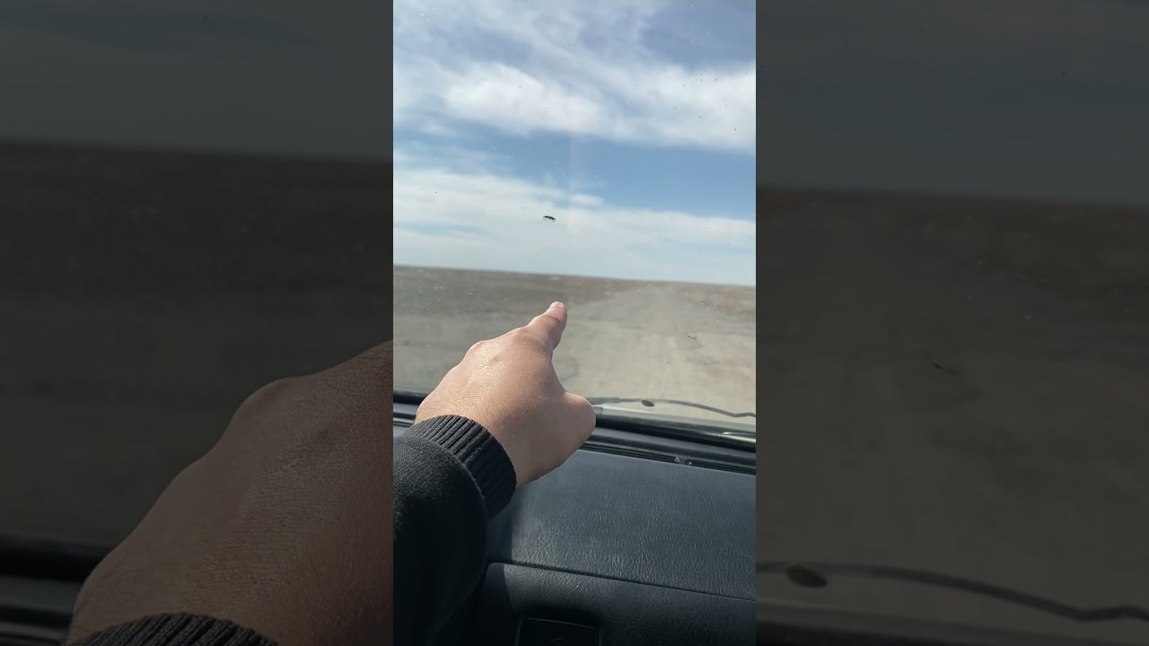 Машина жүргізуді үйрену