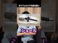 【実銃解説】ブサイクな銃「フィーチャレスライフル」って何？ #実銃解説 #サバゲー #きみどり