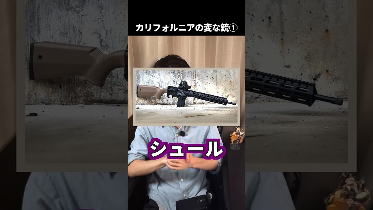 【実銃解説】ブサイクな銃「フィーチャレスライフル」って何？ #実銃解説 #サバゲー #きみどり