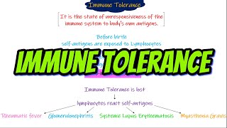 Immune tolerance, Autoimmune diseases. Chapter 35 part 9. Guyton and Hall Physiology.