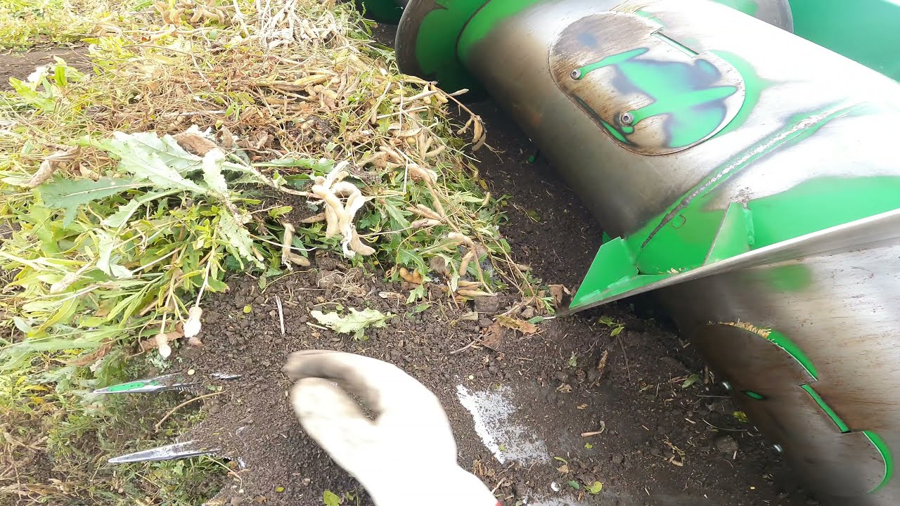 Am umplut masa (headerul) cu pământ..și am terminat Soia pe 2021