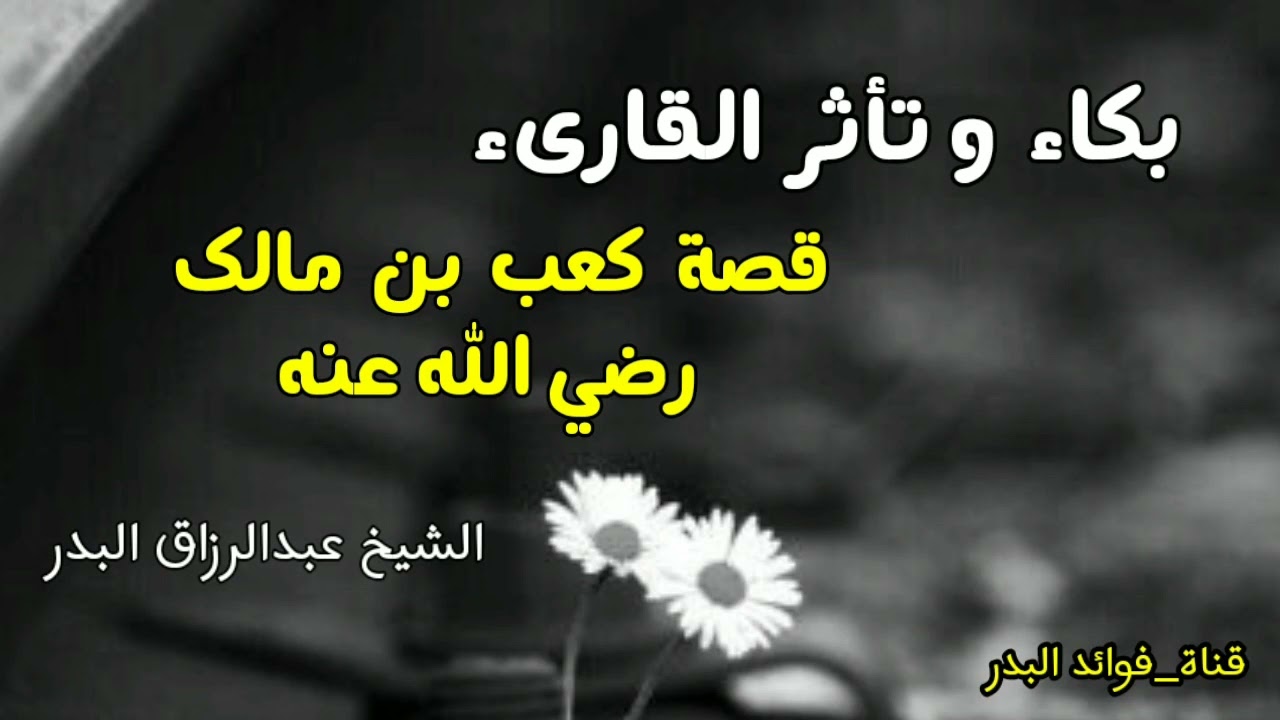 بكاء وتأثر القارئ ~ قصة كعب بن مالك رضي  الله عنه