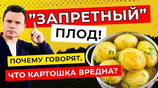 Запретный плод! Почему говорят, что картошка вредна? Доктор Тигран смотрит ТикТок