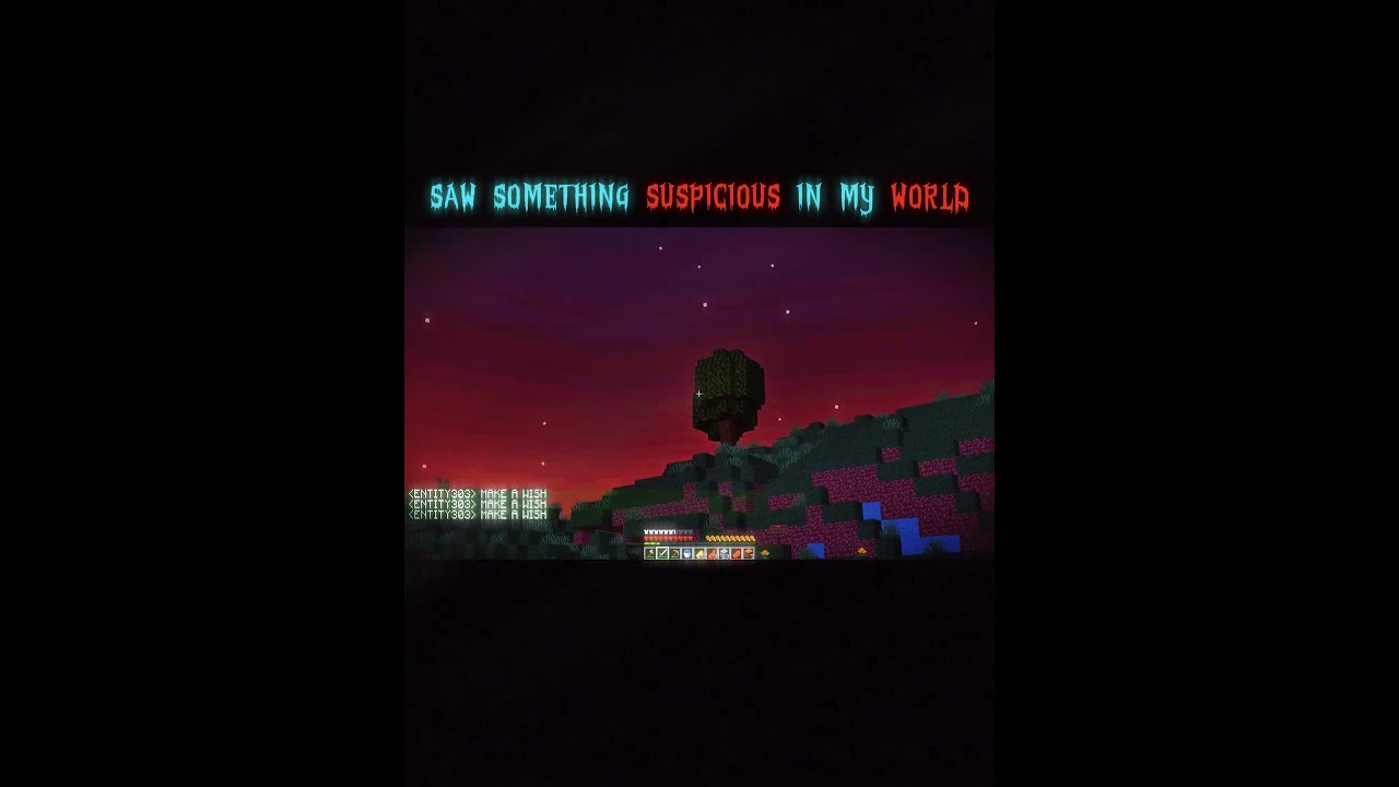 The 303 Signs Were Real… His Grave Wasn’t Empty! |