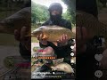 FAST FORWARD FISHING 🎣 💯❤️🎣
