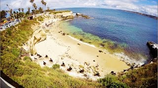 Snorkeling adventure at la jolla cove with seals in san diego
california gopro and canon video may 2016 song jellyfish space by
kevin macleod is licensed ...