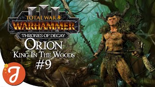 FREE RANGE WOOD ELVES ARE BEST | Orion #09 | Total War: WARHAMMER III