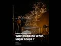 What Happens When Sugar Snaps ?