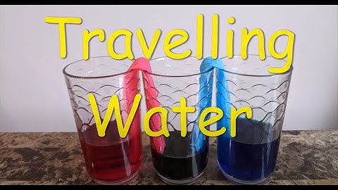 The Wonder Girl: Kids Science Experiments-Celery, water traveling, coin experiment| Kids Educational