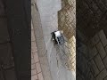 MN99s Water Crawling