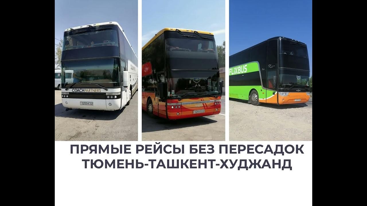 Международный аэропорт худжанд. Рейс красноярск худжанд прямой дешевый. Автобус тюмень худжанд прямой рейс. Рейс красноярск худжанд прямой дешевый. Рейс красноярск худжанд прямой дешевый.