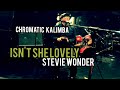 【Kalimba Solo】Isn't She Lovely(Stevie Wonder)