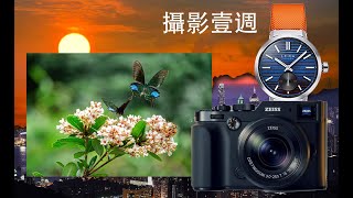 攝影一週 283. Philip Sir 的生態作品, Zeiss ZXII, Leica ZM12 手錶極緻登場