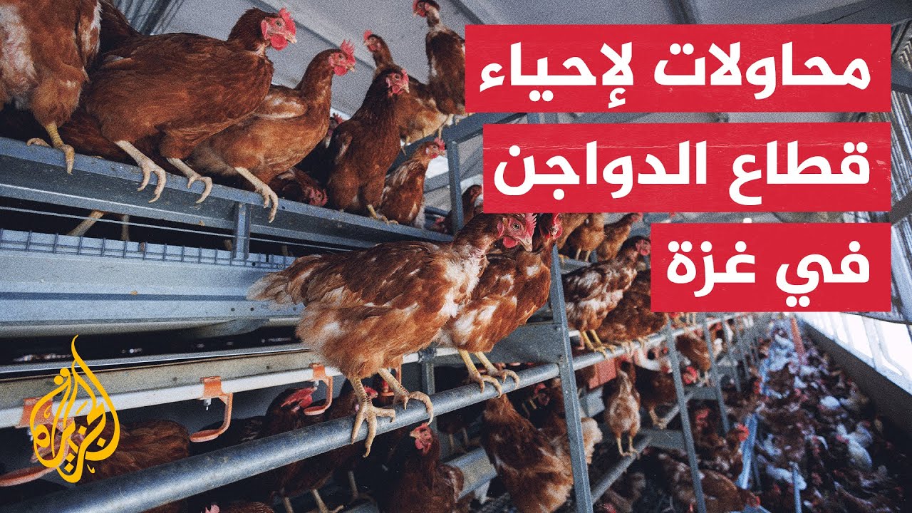 ����� ������� �� ���.. ������� ����� ������ ���� ����� �����
 - نشر قبل 8 دقيقة