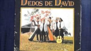 Miniatura de vídeo de "DEDOS DE DAVI"