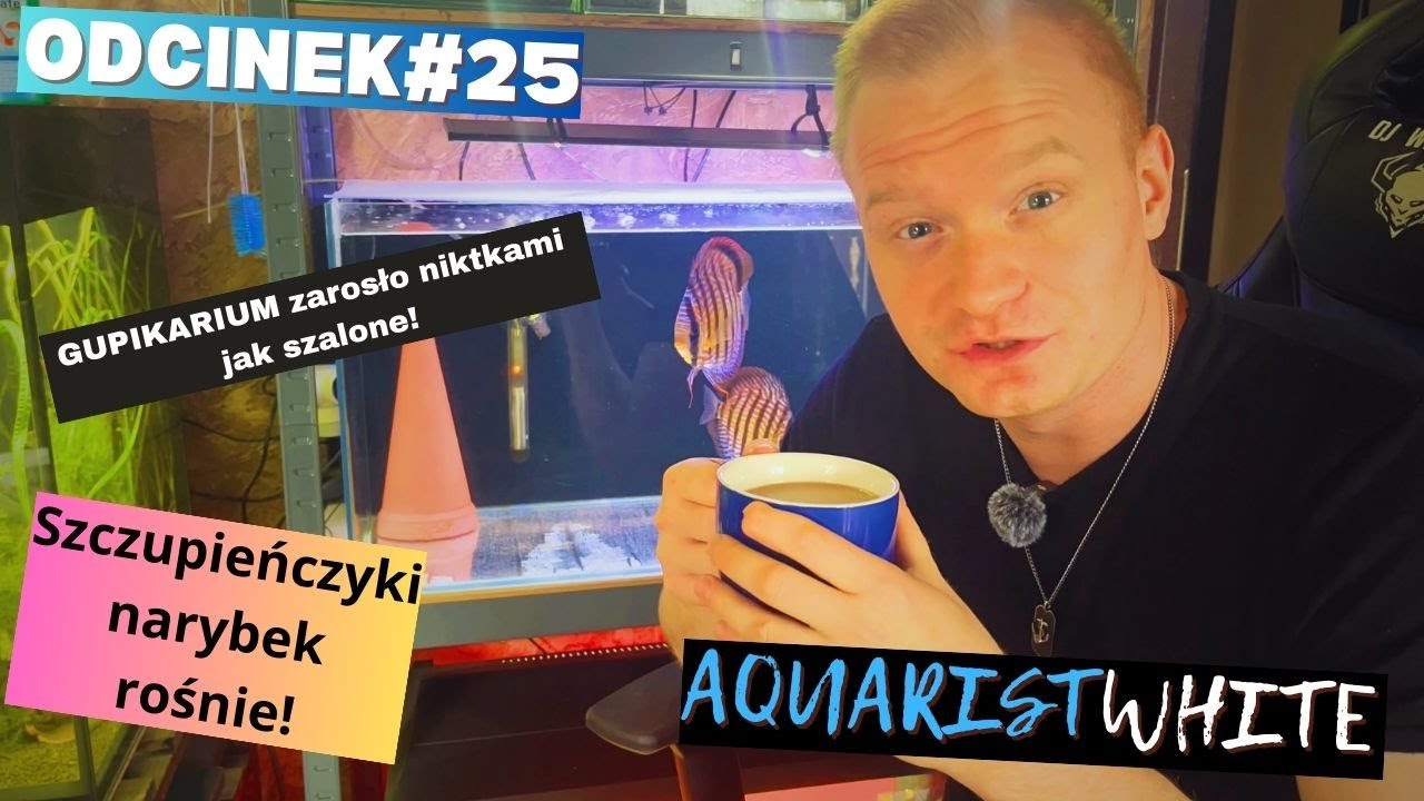 #25 GUPIKARIUM zarosło nitkami jak szalone! Czyścimy ten poligon... Rosną Szczupieńczyki Karłowate!