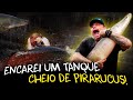 ADRENALINA PURA: ENTREI NO TANQUE DOS PIRARUCUS!