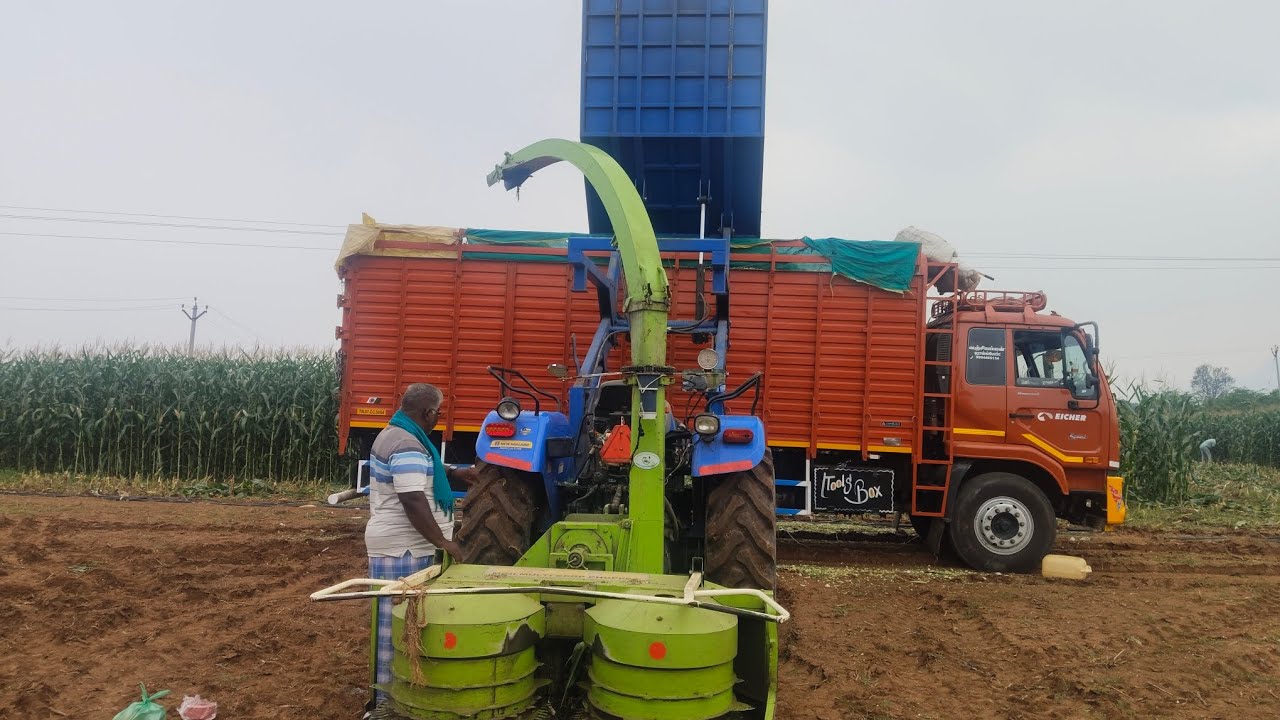 Corn 🌽 silage bag and green feeder available 9384481731