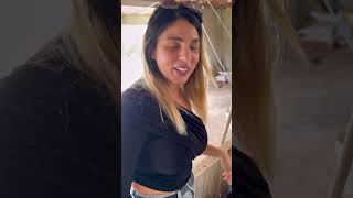 Chloe tiene una casa de madera