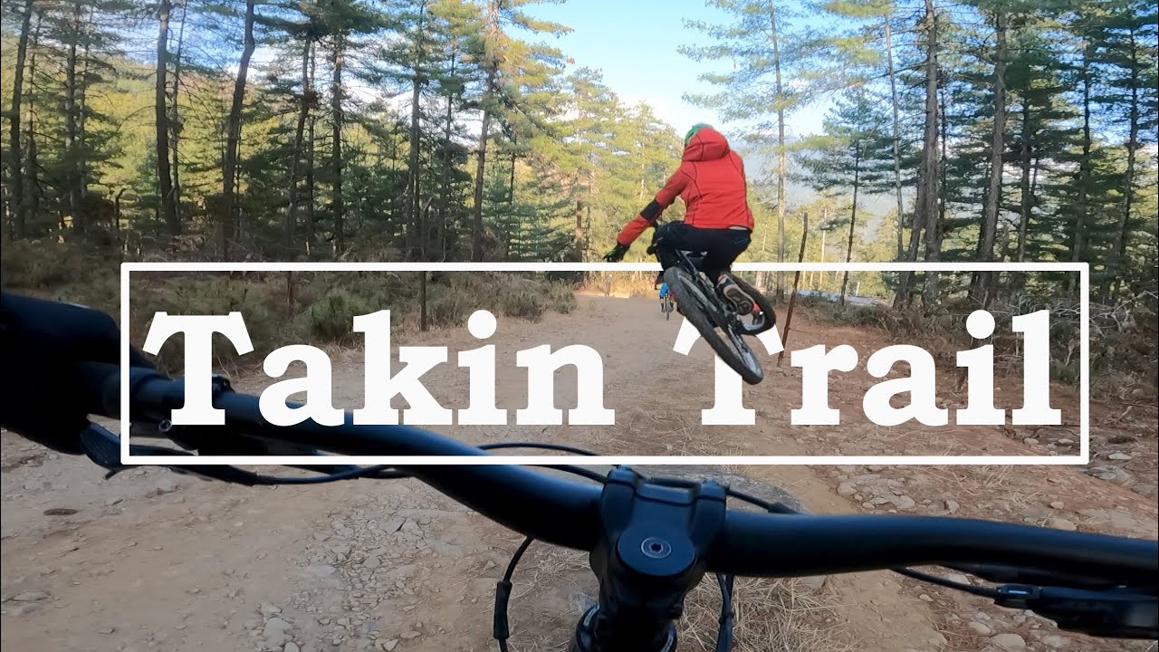 Takin Trail | Oldest MTB Trail in Thimphu | 
