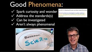 Scientific Phenomenon and Sensemaking