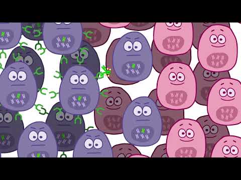 Understanding Antibody Drug