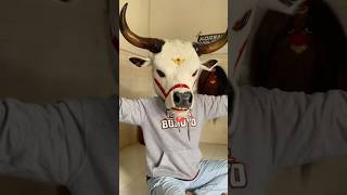 banteng albino arek budoyo #arekbudoyo #jaranan