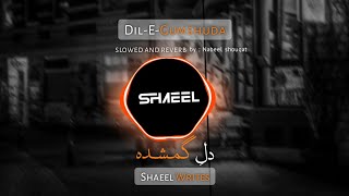 DIL-E-GUMSHUDA OST|| BASS BOOSTED SLOWED AND REVERB  BY SHAEEL ||TIKTOK REMIX SOUND||Nabeel Shouqat