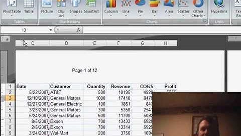 Page Break Preview Excel 2007