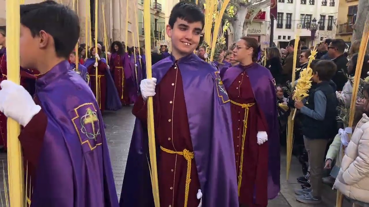 Procesión de Las Palmas 2026 #Aspe