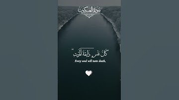 ﴿يَا عِبَادِي الَّذِين آمَنُوا إِن أَرْضِي واسِعَة فَإِيَّاي فَاعْبُدُونِ﴾ | تلاوة عبد الرحمن مسعد🎧