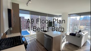 A9 One-Bed
