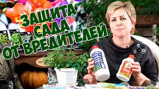 видео Аптека садовода. Основные препараты для защиты плодового сада от болезней и вредителей.