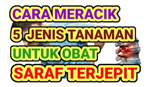 Jenis Tanaman Obat untuk Mengobati Syaraf Kejepit dan Cara Meraciknya/Obat Herbal/Obat Saraf Kejepit