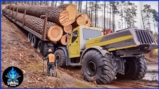 220 EXTREME Dangerous Biggest Wood Logging Truck Operator Skill Working At Another Level