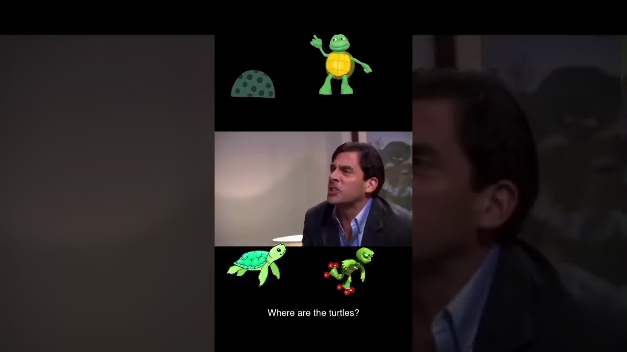 Where are the turtles